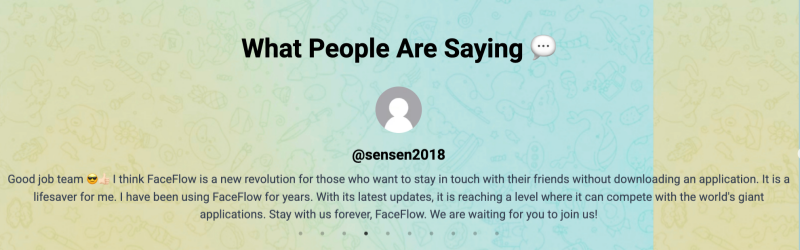 FaceFlow User Experience- What to Expect