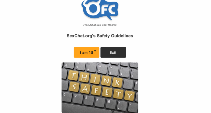 OnlineFreeChat Safety and Risk Control