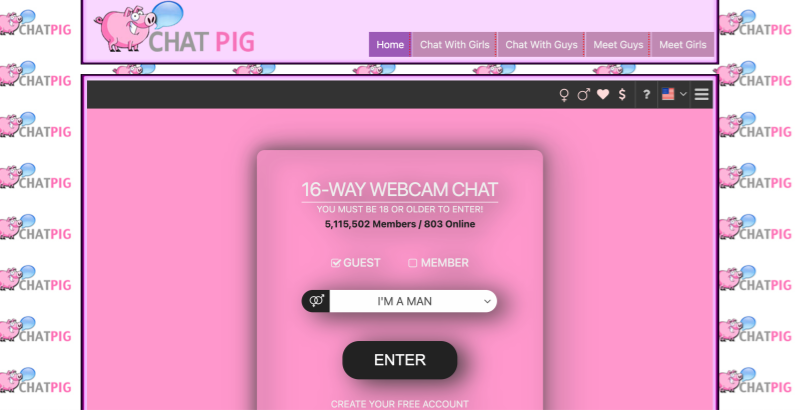 What is Chatpig