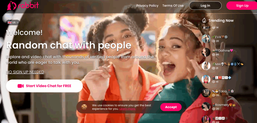 रैबिट परिचय